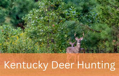 15, 2023 Jan. . Kentucky deer hunting season 202223